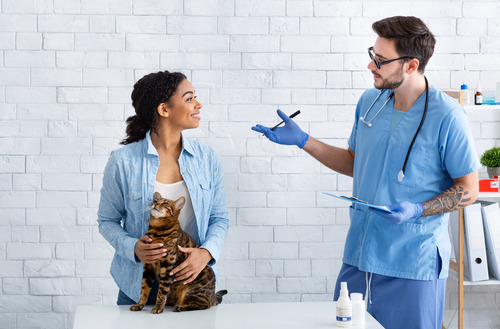 pet-owner-with-cat-talking-to-vet-at-clinic
