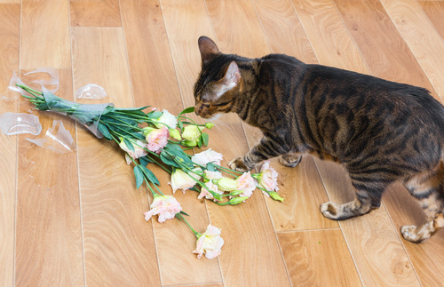 cat-sniffing-flowers-in-knocked-over-vase