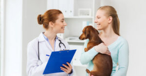 female dog owner holding dachshund dog in her arms as she talks to female vet about dog sneezing at clinic